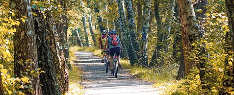 Pension Spreewelten