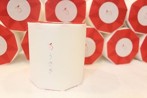 hostel & powder room crane - Caters to Women