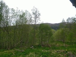 Holandsvika Bomiljø