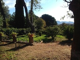 B&B Vigna dell'Agrifoglio