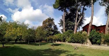 B&B Vigna dell'Agrifoglio