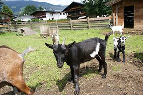 Pension Traube