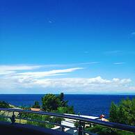 Apartments Delfin Villa Sofia