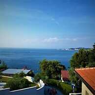 Apartments Delfin Villa Sofia