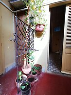 Casa Buena Vista