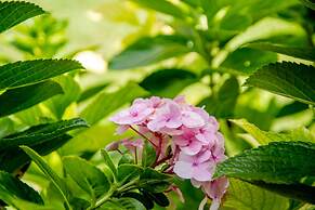 Hotel Cantinho Das Flores