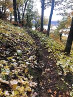 Aqua Log Cabins Resort