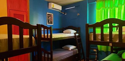 Hostal Guacamayos