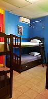 Hostal Guacamayos