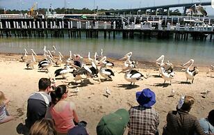 Apartment with views