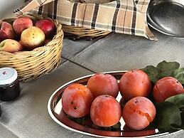 Il Podere dell'Angelo