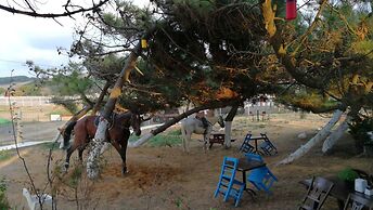 Atlitur Gumusdere Beach Camp