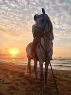 Atlitur Gumusdere Beach Camp
