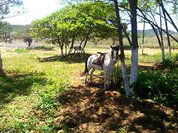 Atlitur Gumusdere Beach Camp