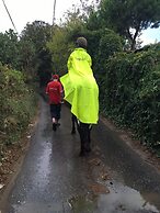 Atlitur Gumusdere Beach Camp