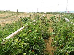 Atlitur Gumusdere Beach Camp