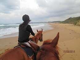 Atlitur Gumusdere Beach Camp