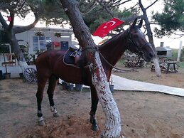 Atlitur Gumusdere Beach Camp