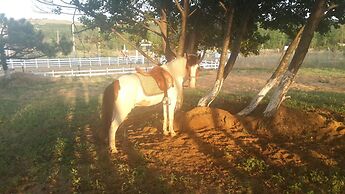 Atlitur Gumusdere Beach Camp