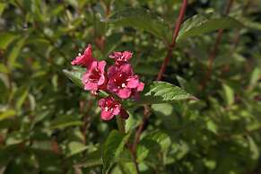 Alte Schule Greetsiel