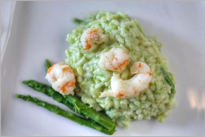 Guest Accomodation Tamaris