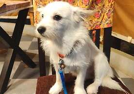 Dev Bhoomi Farms & Cottages