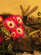 Dev Bhoomi Farms & Cottages