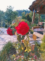 Dev Bhoomi Farms & Cottages