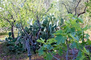 Dimora il Fico d'India