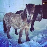 Dynjandi Farm Holidays