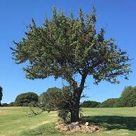 Botanic Golf SaCuba & Resort