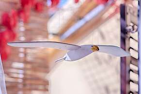 Apartments Mediteraneo