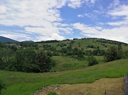 Guesthouse Blazenka Hodak