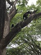 Casa Malia - Guapinol 8