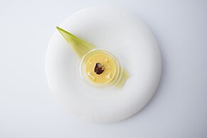 Rembrandt Premium Fuji Gotemba