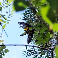 Kenting Coral Sea Resort Hotel