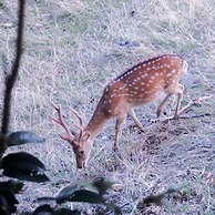 Kenting Coral Sea Resort Hotel