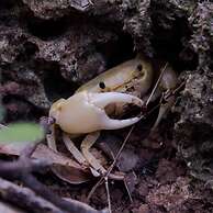 Kenting Coral Sea Resort Hotel
