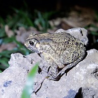 Kenting Coral Sea Resort Hotel