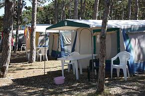 Kamp Planik- Campsite