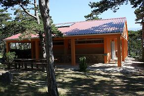 Kamp Planik- Campsite