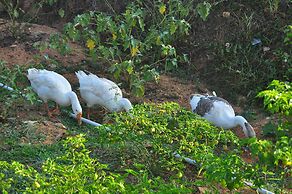 INDIMASI - Ayurveda & Healing Village