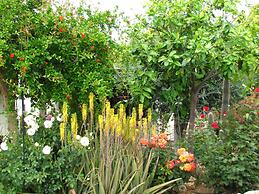 Webooking Konstantinos Villa