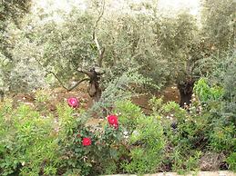 Webooking Knossos Villa