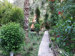 Oran Pansiyon Agac Evler