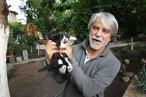 Oran Pansiyon Agac Evler