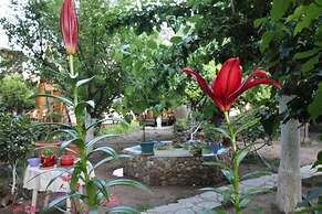 Oran Pansiyon Agac Evler