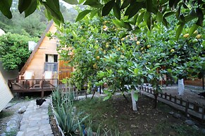 Oran Pansiyon Agac Evler