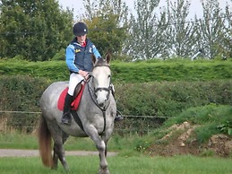 Ross House Equestrian Holidays