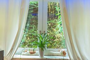 Luxury Apartment & Penthouse Villa